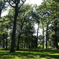 Vanderbilt County Park & Campground ico