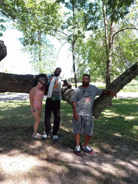 Vanderbilt County Park & Campground Picture 8