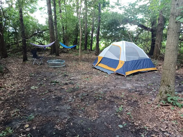 Mongos Meadow Picture 4