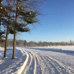 Sandy Pines Administration, Camping & Sales