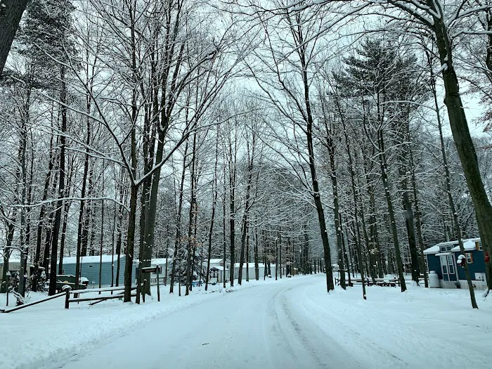 Sandy Pines Main Entrance & Camping Check In Picture 1