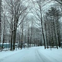 Sandy Pines Main Entrance & Camping Check In ico