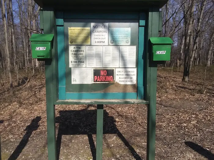 Ely Lake Campground Picture 2