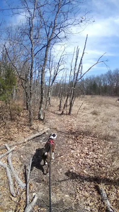 Ely Lake Campground Picture 7