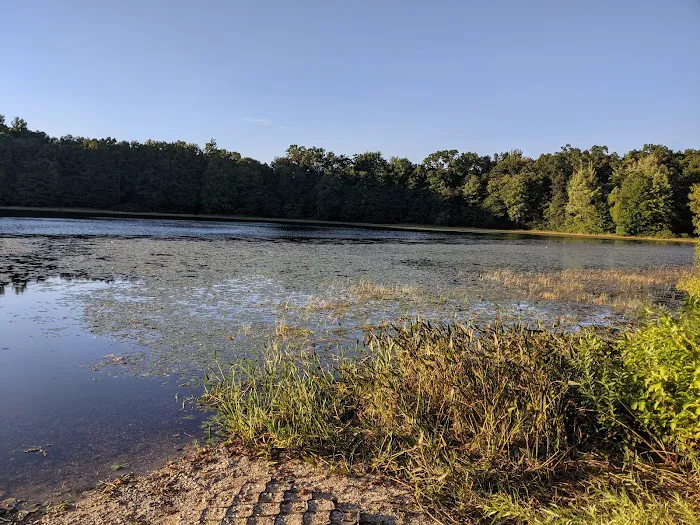 Ely Lake Campground Picture 6