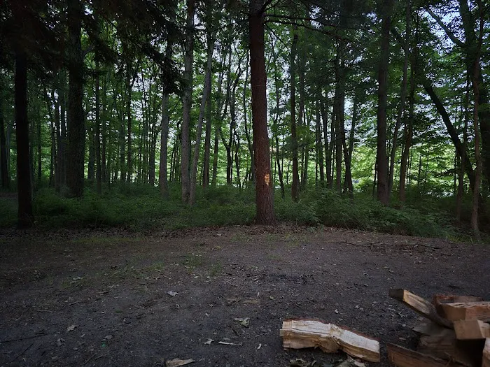 Ely Lake Campground Picture 5