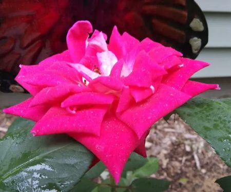 Horsemans Campground