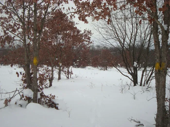 Horsemans Campground Picture 2