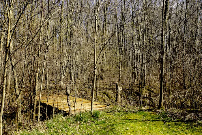 Off Map Glamping Picture 5