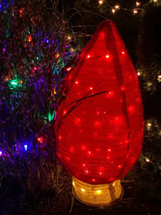 Yogi Bear's Jellystone Park Camp-Resort Picture 3