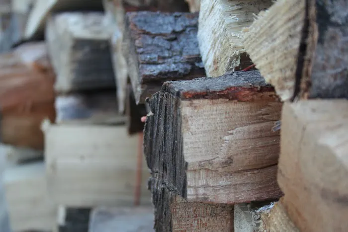 Covert / South Haven KOA Holiday Picture 6