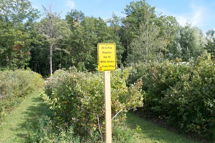 Covert / South Haven KOA Holiday Picture 1