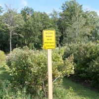 Covert / South Haven KOA Holiday ico