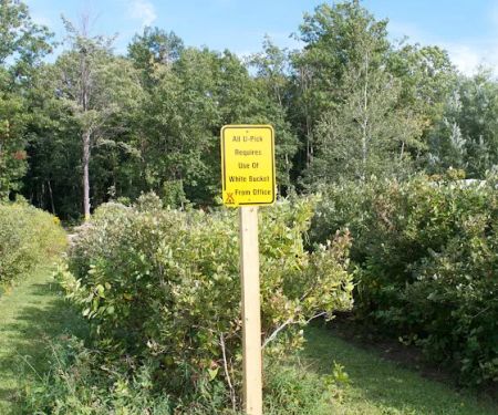 Covert / South Haven KOA Holiday