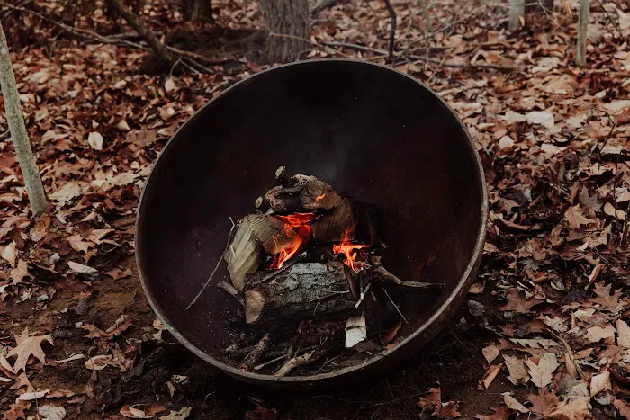The Woods Luxury Camping Picture 8