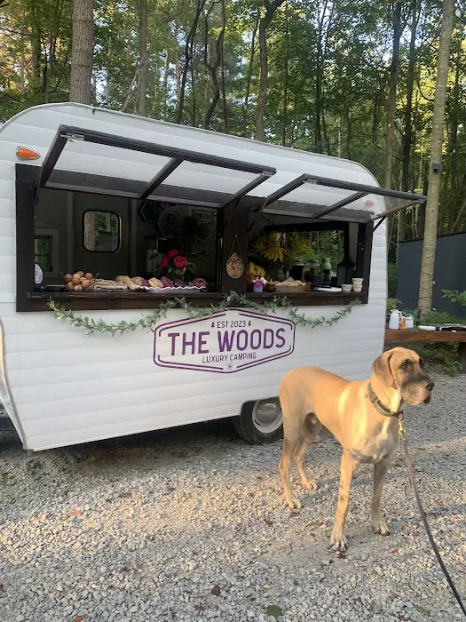 The Woods Luxury Camping Picture 2