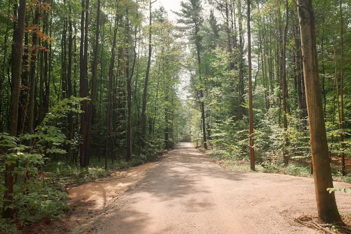 The Woods Luxury Camping Picture 9