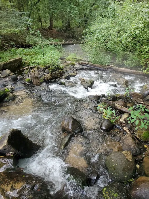 Silver Creek County Park/ Campground - $17 per night, $5 Day use trail fee Picture 6