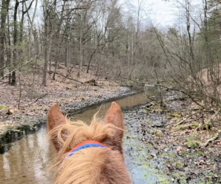 Silver Creek County Park/ Campground - $17 per night, $5 Day use trail fee