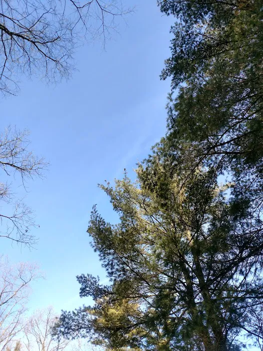 Silver Creek County Park/ Campground - $17 per night, $5 Day use trail fee Picture 10