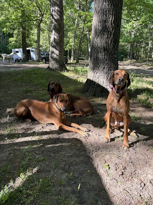 Silver Creek County Park/ Campground - $17 per night, $5 Day use trail fee Picture 9