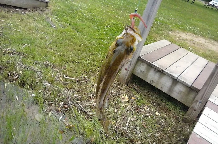 Larson's Resort Picture 2