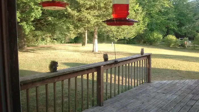 Lincoln Pines Resort Picture 4