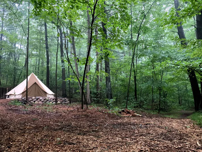 Detach Primitive Picture 3