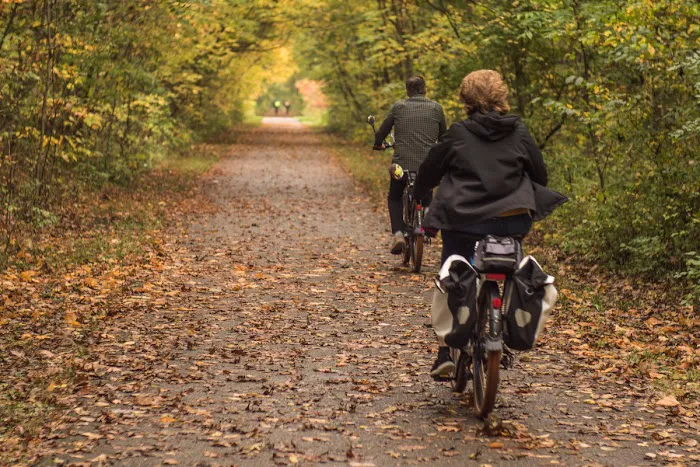 Detach Primitive Picture 8