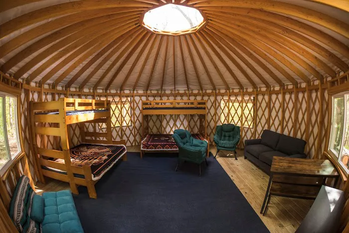 Detach Primitive Picture 4