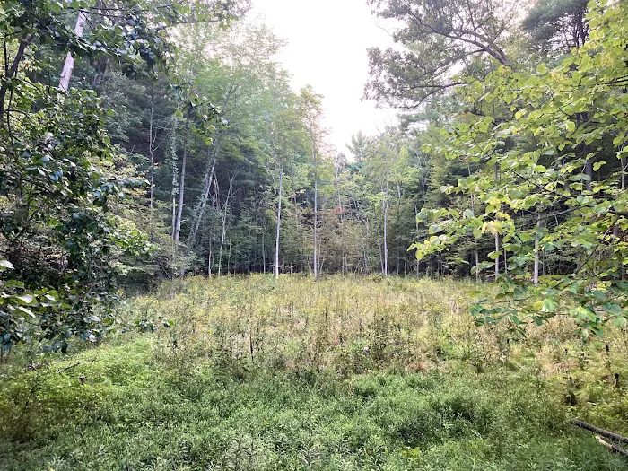 Detach Primitive Picture 6