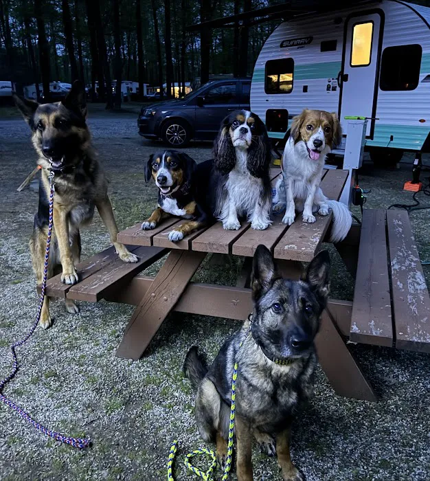 Duke Creek Campgrounds Picture 2