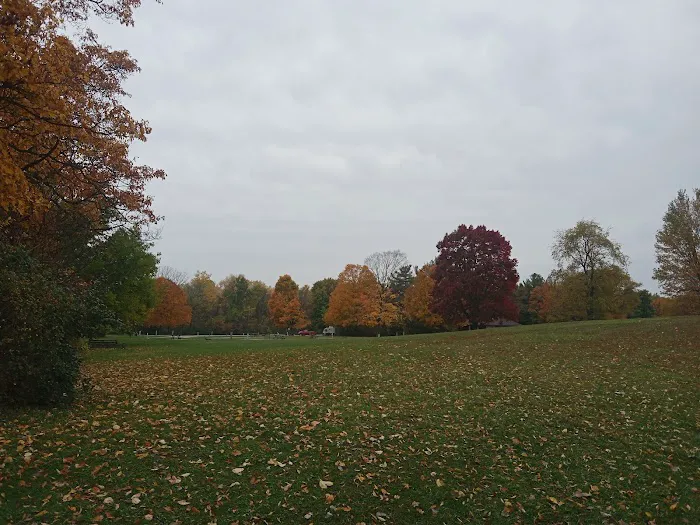 Potato Creek Campground Picture 1