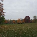 Potato Creek Campground