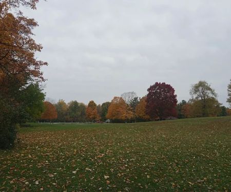 Potato Creek Campground