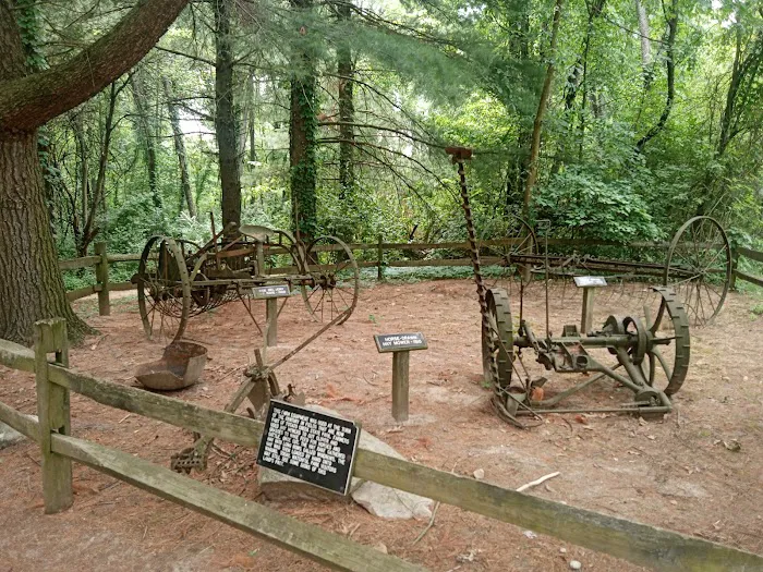 Potato Creek Campground Picture 10