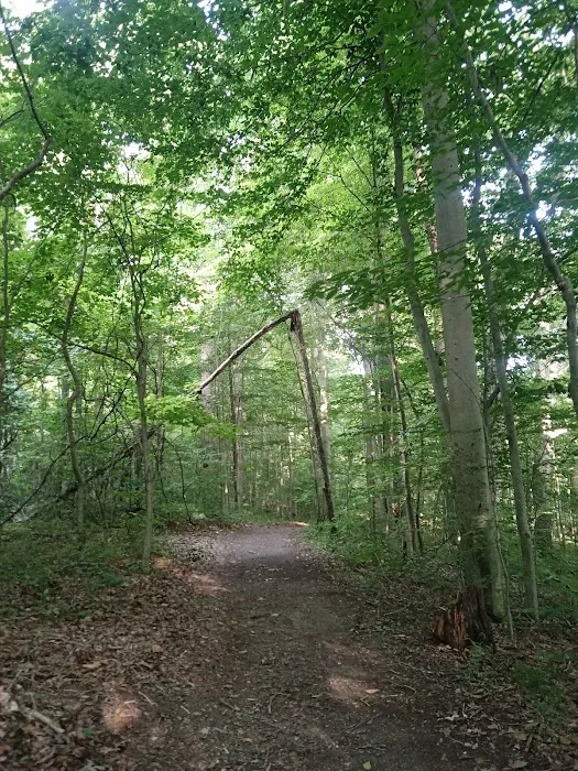 Potato Creek Campground Picture 5