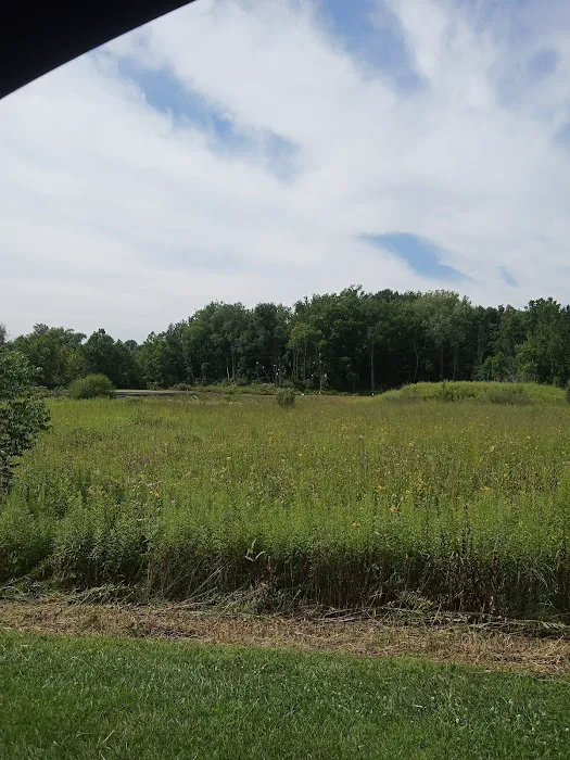 Potato Creek Campground Picture 3