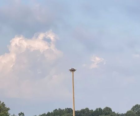 Potato Creek State Park Campground