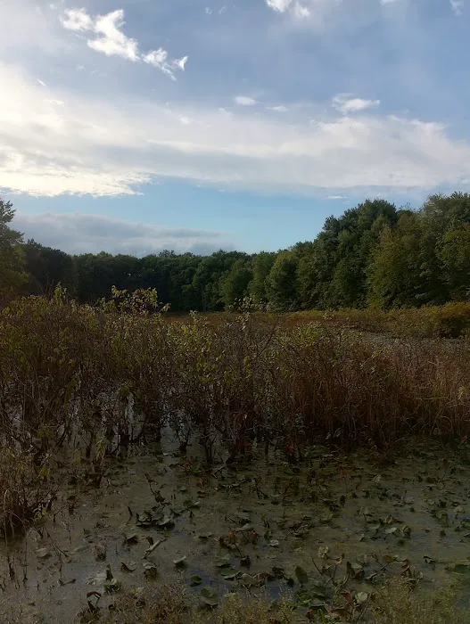Hidden Lake Paradise Campground, LLC Picture 1