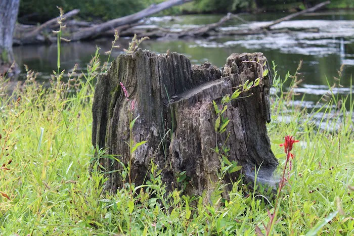 Tippecanoe River Run Picture 3