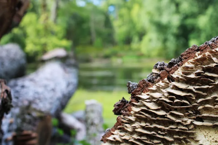 Tippecanoe River Run Picture 2