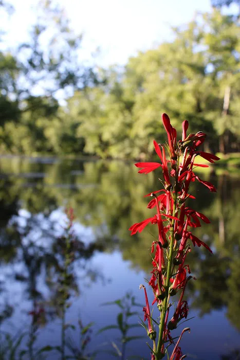 Tippecanoe River Run Picture 1
