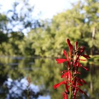 Tippecanoe River Run ico