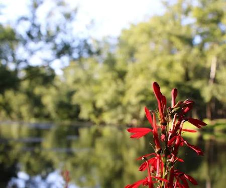 Tippecanoe River Run