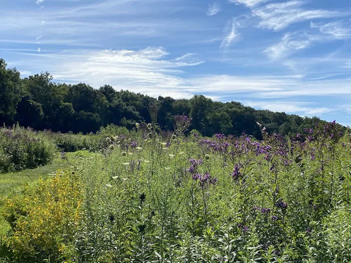 Walnut Valley Realm Campground Picture 8