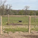 Prophetstown State Park Campground