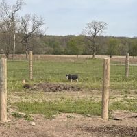 Prophetstown State Park Campground ico