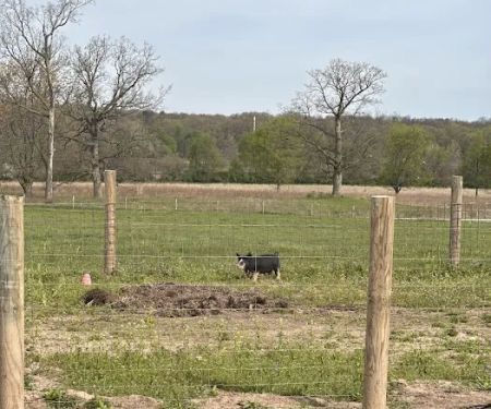 Prophetstown State Park Campground