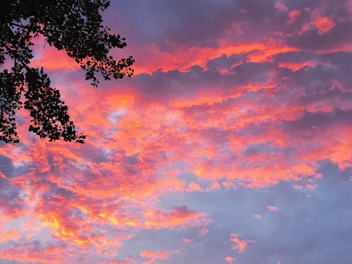 Ken-Do Lake Campground Picture 7